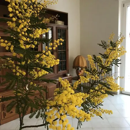 Ferienhaus Casa Piero - Villetta Con Giardino Ad Alba